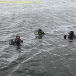 DTY.NL-240615-1452-029