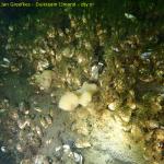 DTY.NL-250629-1015-001