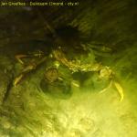 DTY.NL-250706-1052-001