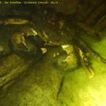 DTY.NL-250706-1052-002