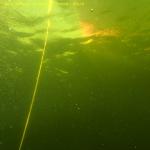 DTY.NL-250928-1112-003