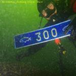 DTY.NL-251019-1011-004