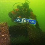 DTY.NL-251019-1019-006