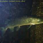 DTY.NL-251019-1042-007