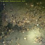 DTY.NL-260405-1027-003