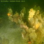 DTY.NL-260514-1046-002