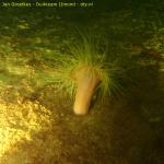 DTY.NL-260514-1050-006