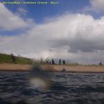 DTY.NL-260514-1506-013