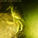 DTY.NL-260516-1057-021
