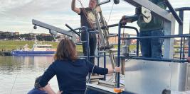 16 jun 2026 - Der SensoR stickeren