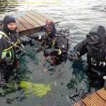 DTY.NL-251024-0439-002