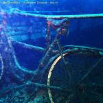 DTY.NL-251024-1547-010