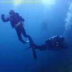 DTY.NL-251024-1611-019