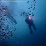 DTY.NL-251025-1104-028