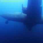 DTY.NL-251025-1608-034